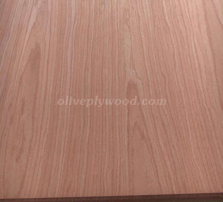 Ev oak veneer plywood(图5)