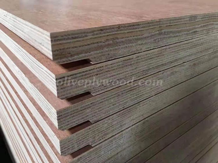 Container Flooring Plywood (图6)