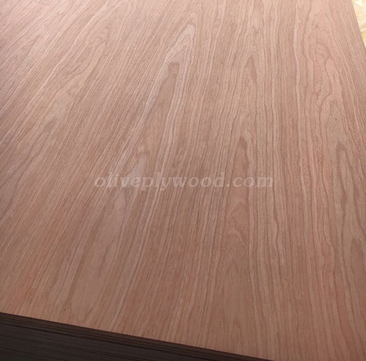 Ev oak veneer plywood(图4)