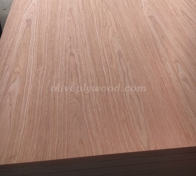 Ev oak veneer plywood(图2)