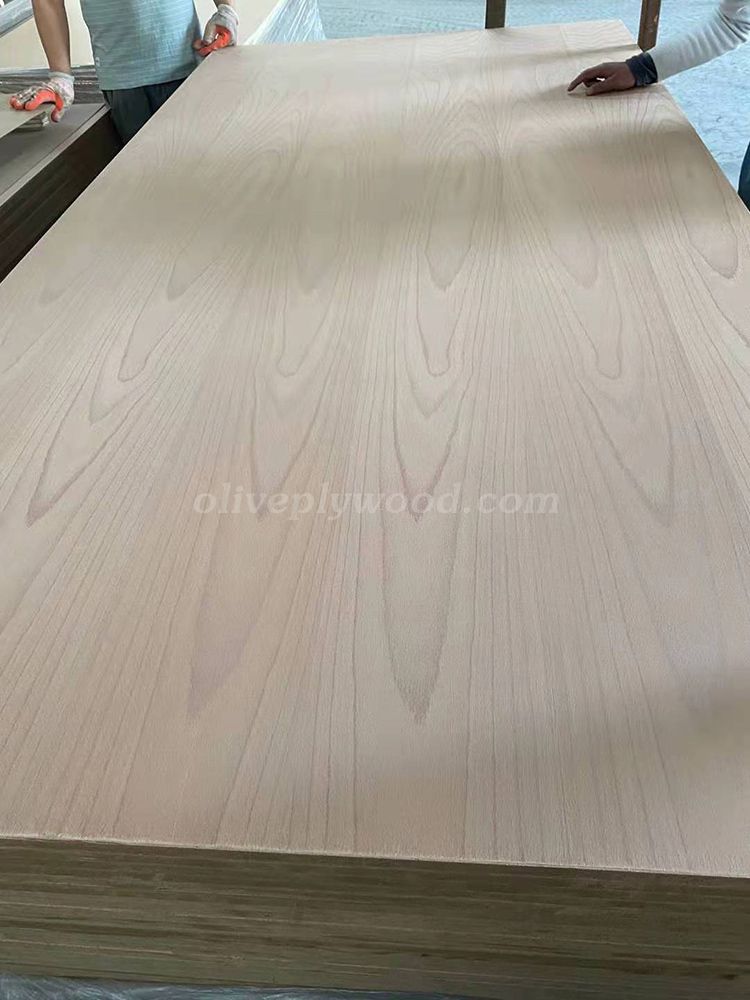 beech veneer plywood(图2)