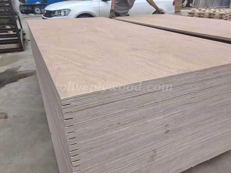 Container Flooring Plywood (图3)