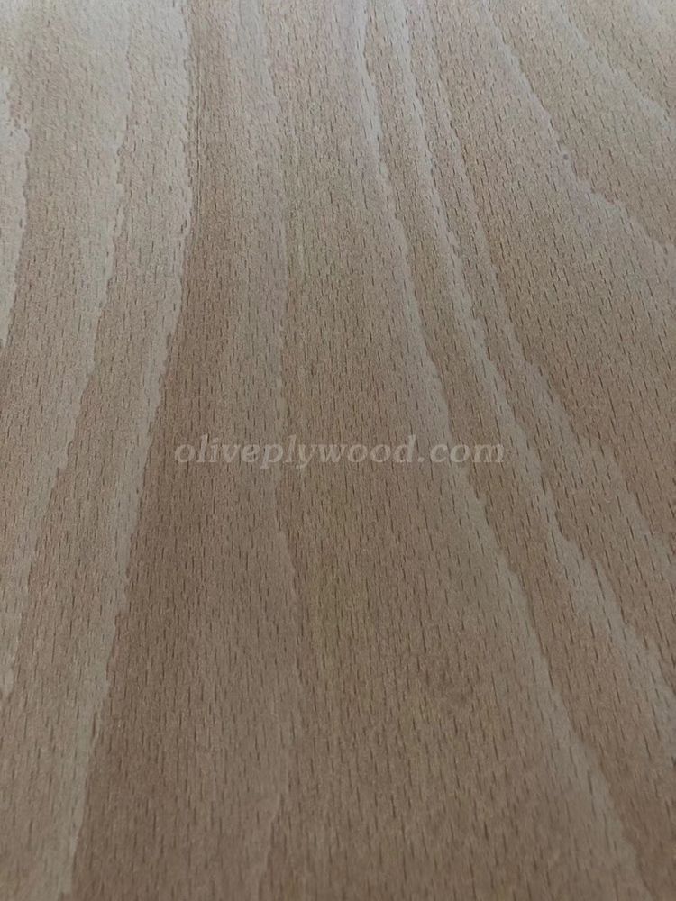 beech veneer plywood(图1)