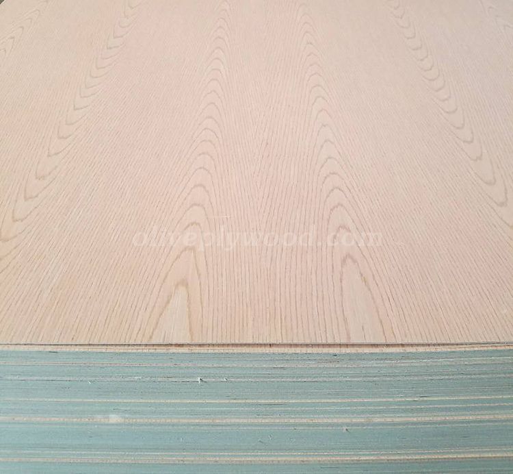 Ev oak veneer plywood(图8)